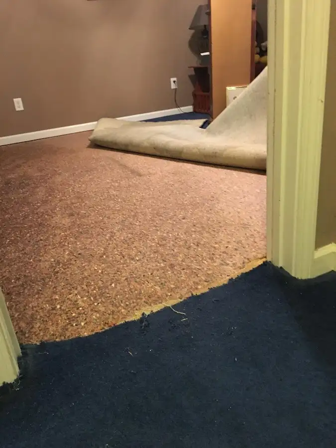 Carpet pad removal revealing water damage during Drying & Dehumidification in Rockaway