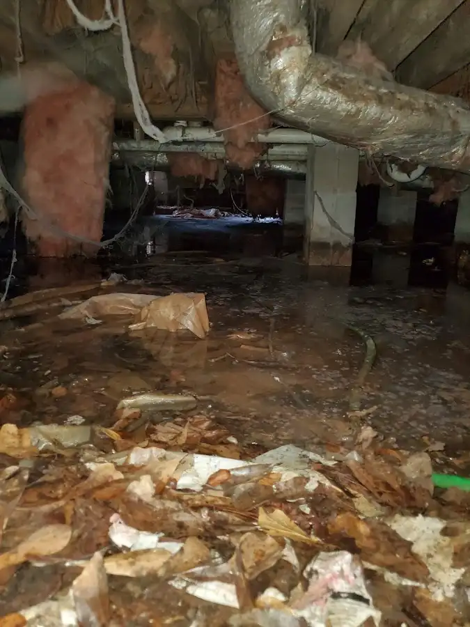 Crawl space flood assessment for Leak Detection & Repair in Rockaway