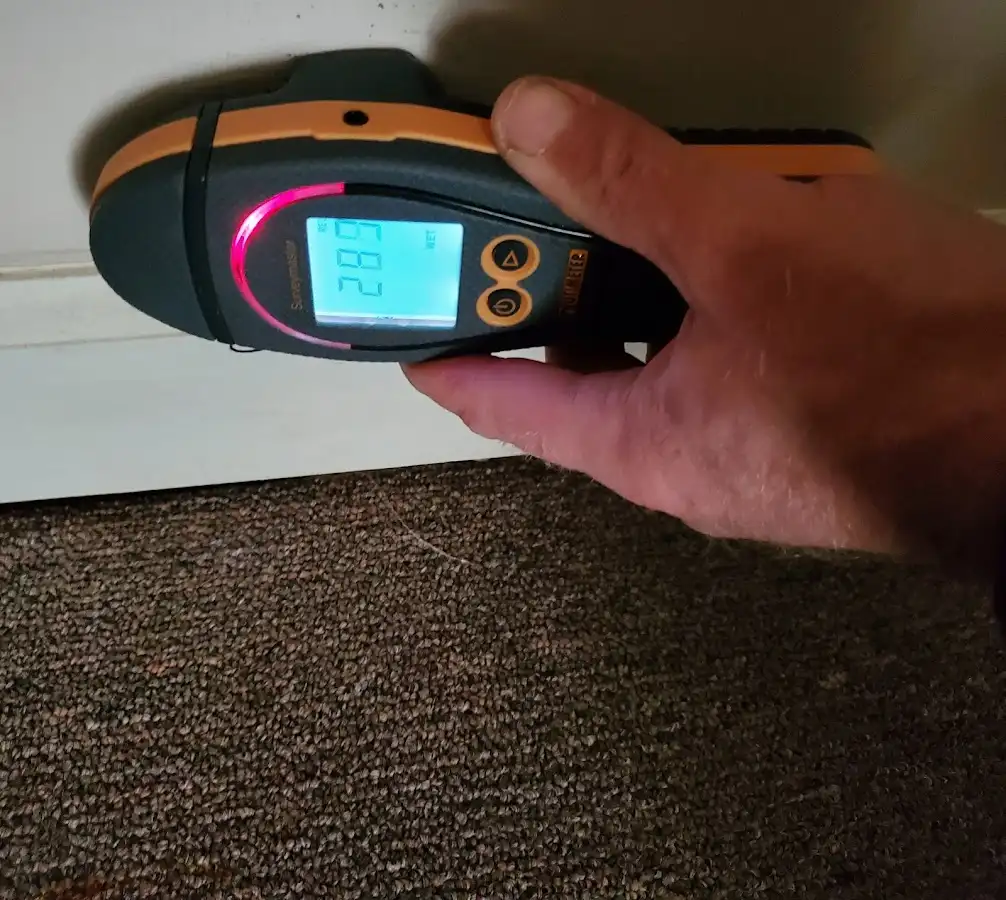 Moisture detection at baseboard during Sewage Cleanup & Sanitation in Rockaway